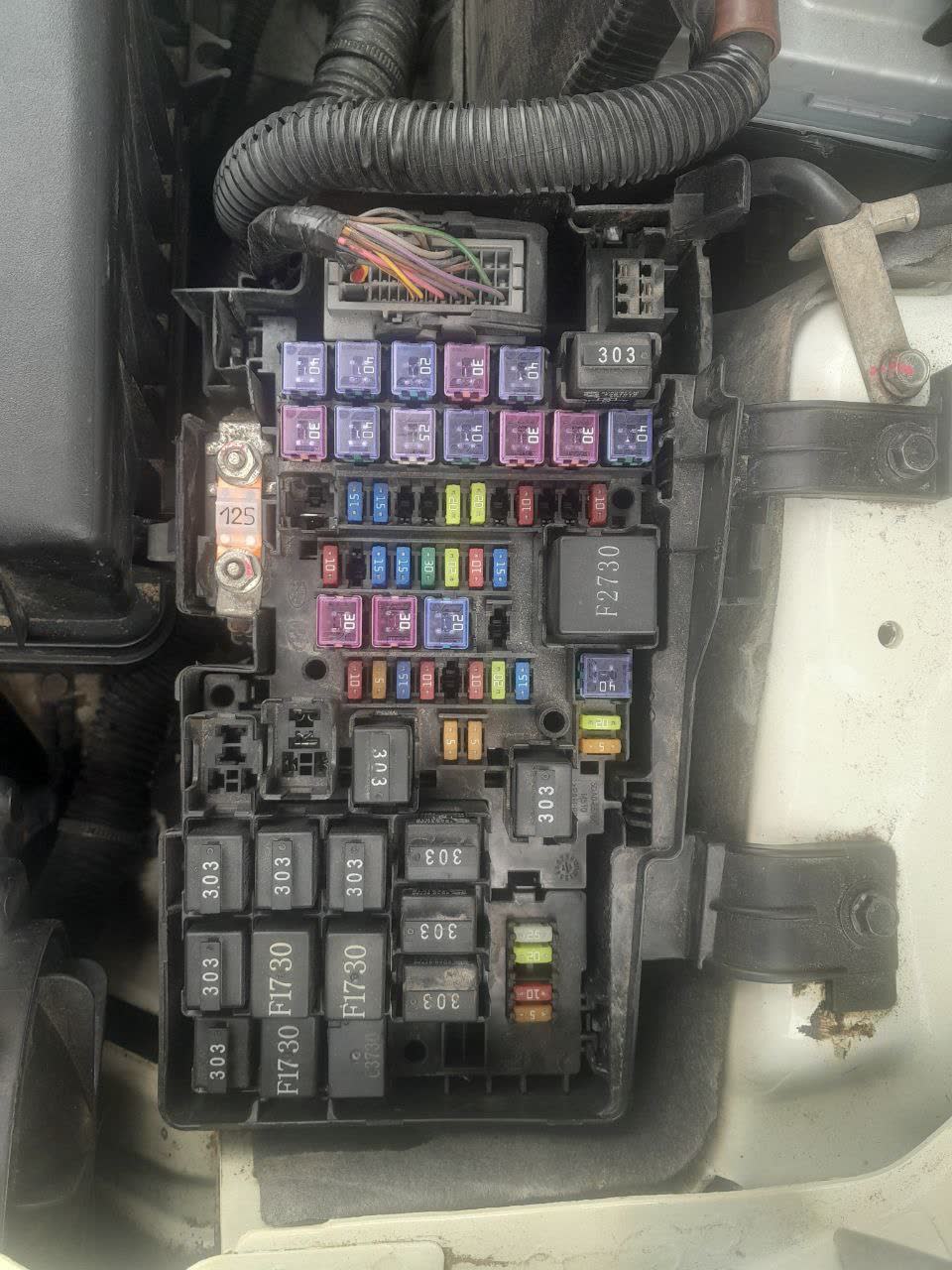 High-resolution fuse-block diagram showing all fuse and relay locations, Russian labels and part numbers (125, 303, PT30, etc.)