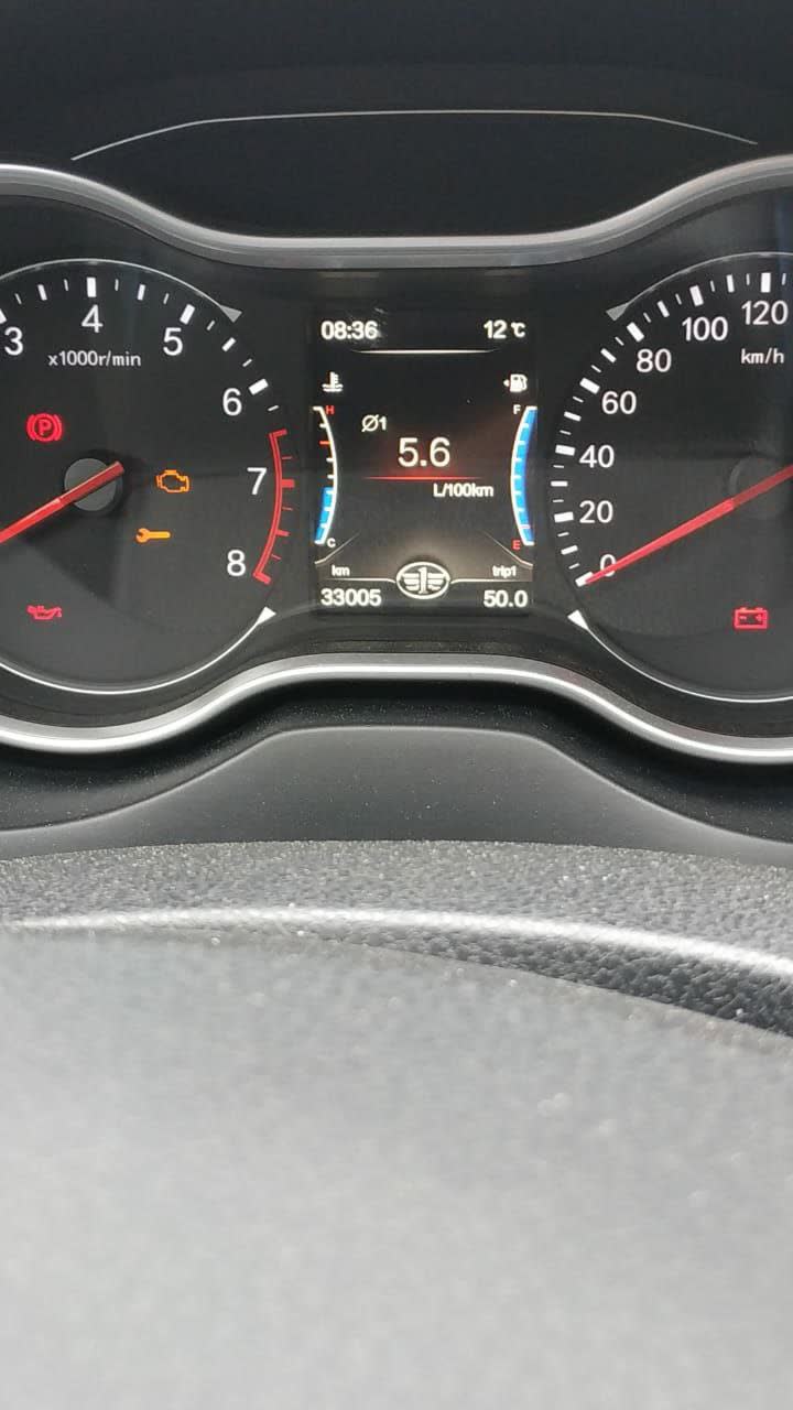 Dashboard photo showing trip computer reading 5.6 L/100km at 33,005 km odometer