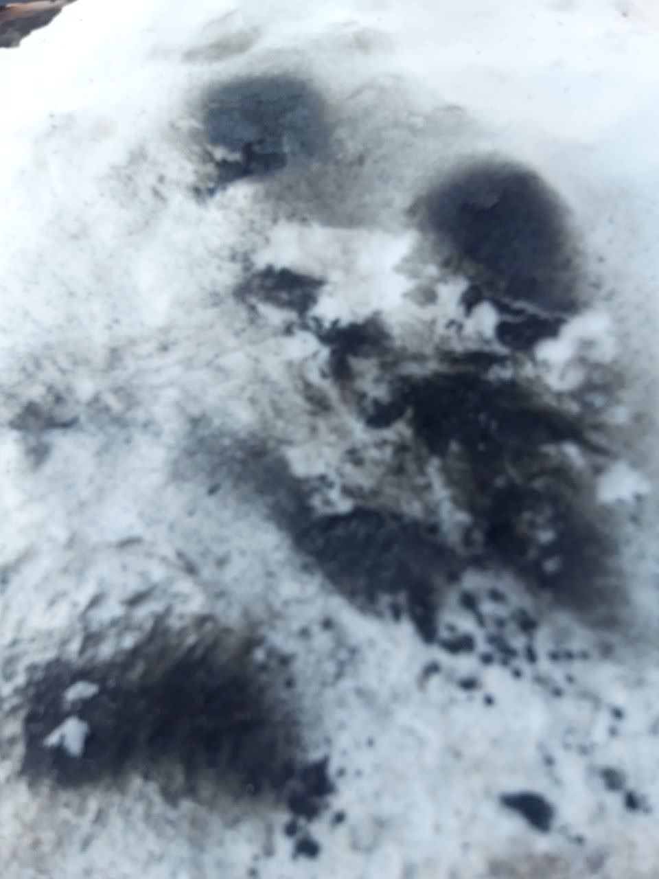 Heavily contaminated fuel filter with thick black particulate soot/sludge, pulled after a fuel pump replacement