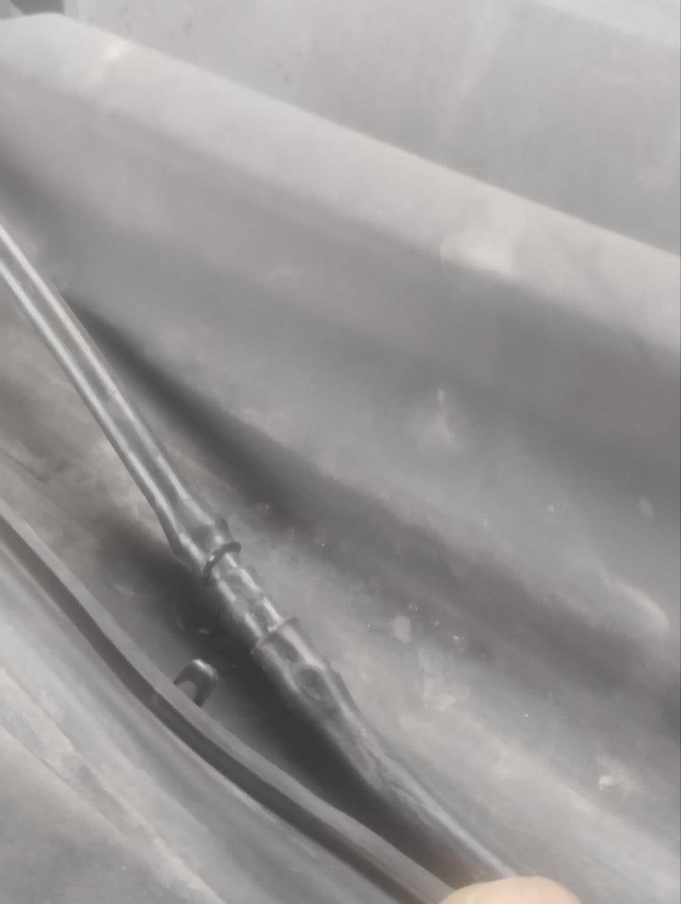Tube routed and exiting from under the hood seal area with connector clips visible