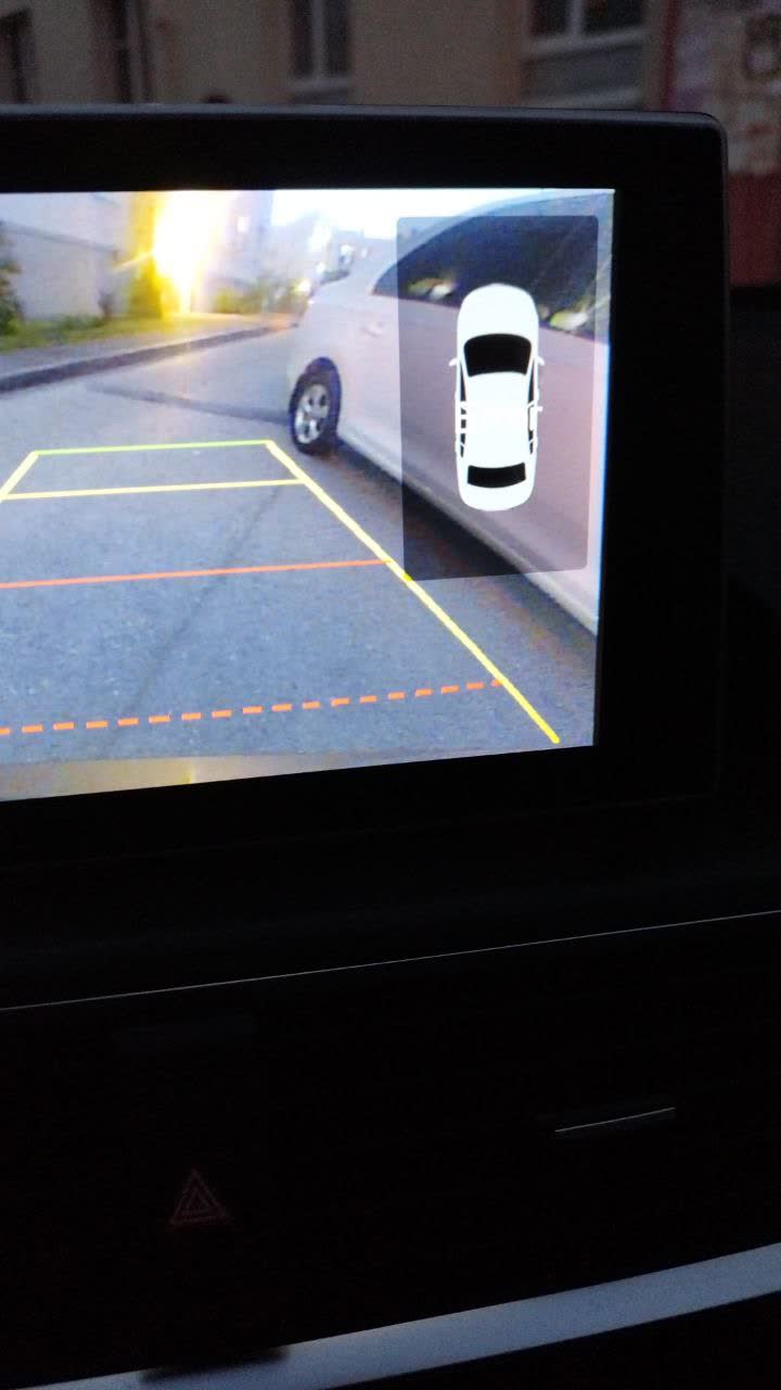 Dashboard error display screenshot showing parking sensor error light indication