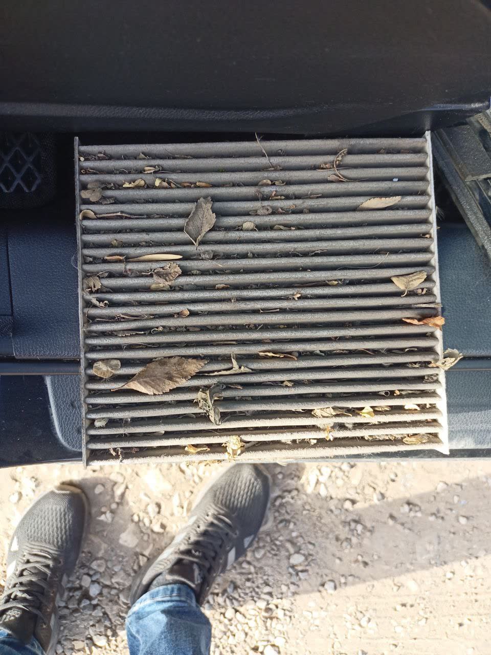 Cabin air filter element heavily clogged with fallen leaves and organic debris trapped between the pleats