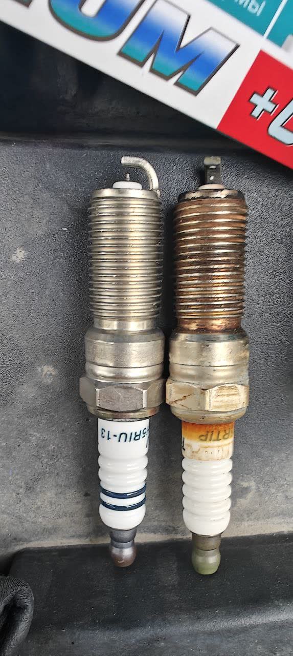 TORCH spark plugs in packaging