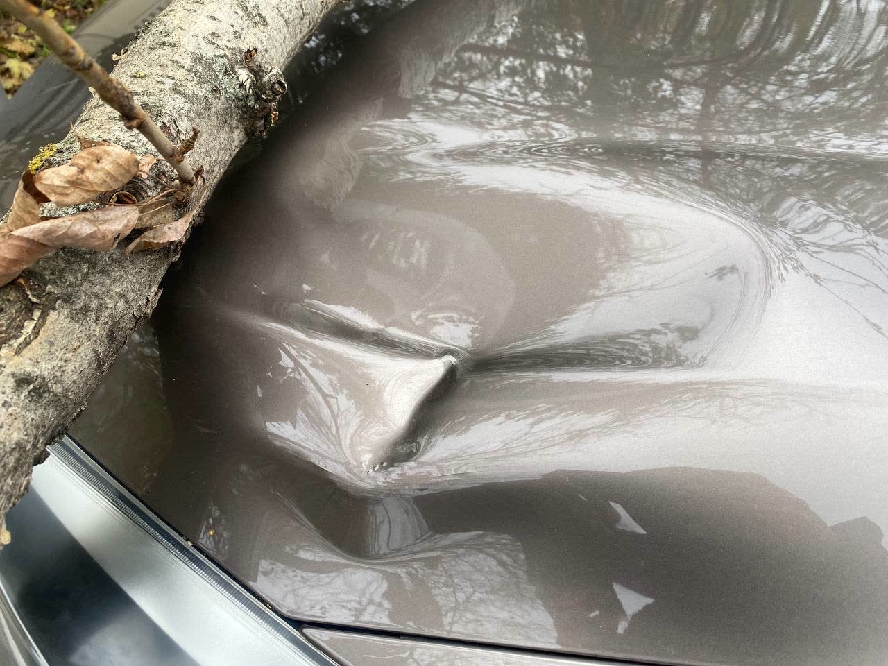 Second photo of the repaired hood paint work
