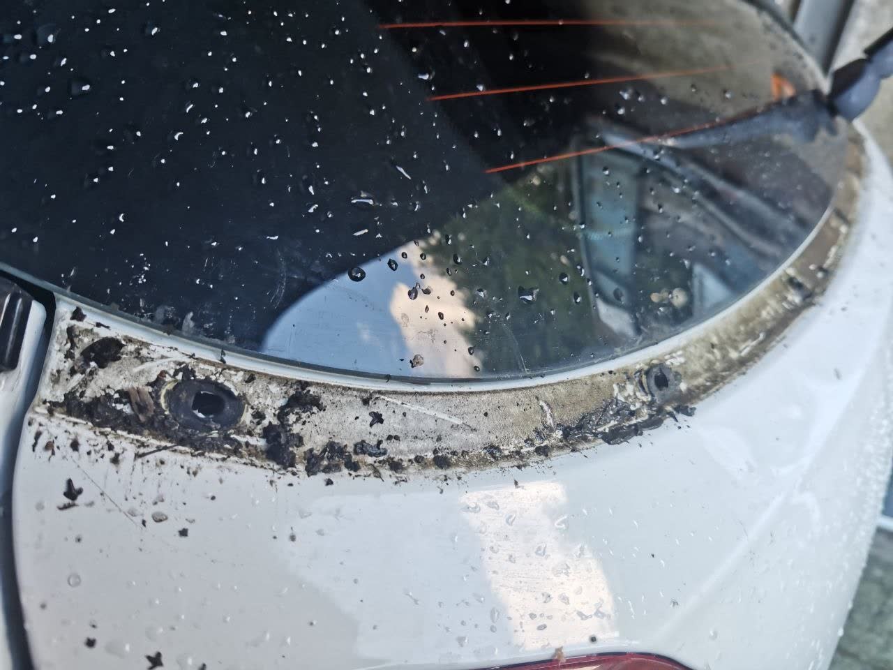 Photo showing extensive corrosion and rust under body panels and window edges