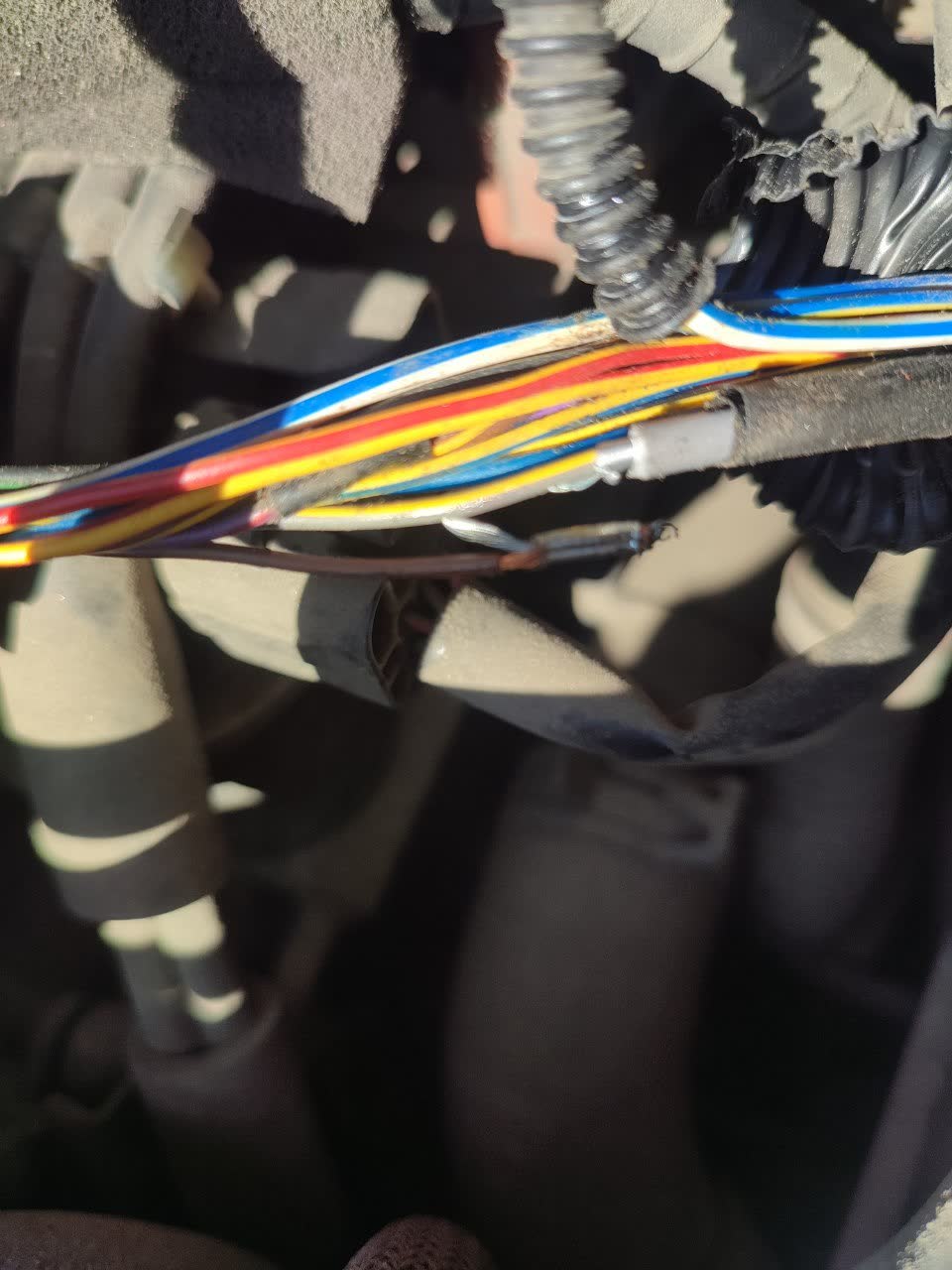Close-up of the exposed wiring harness with the corrugated loom (гофра) pulled back, showing a bundle of blue, red, yellow, and white wires and a section of exposed/bare wire near a taped joint