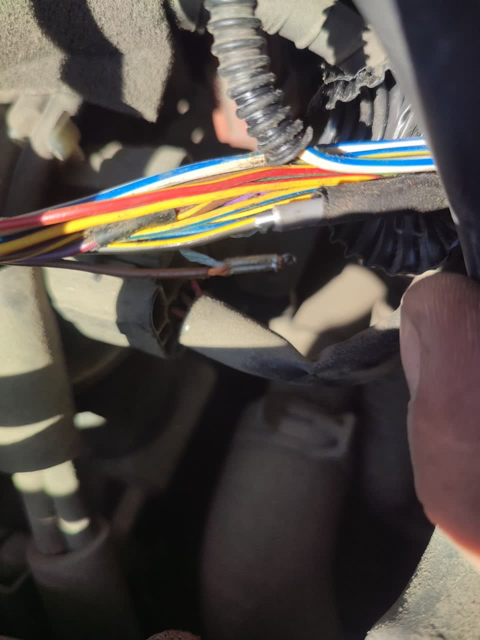 A second angle of the same exposed wiring harness and corrugated-loom section shown in message 49817